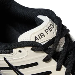 Nike Air Pegasus 2005