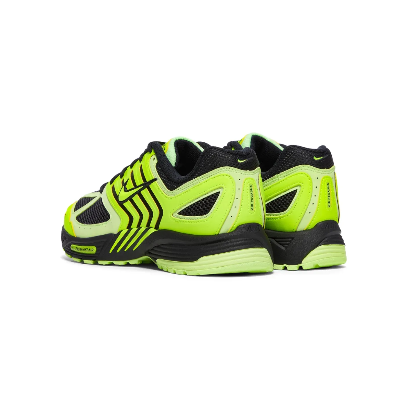 Nike Air Pegasus 2005