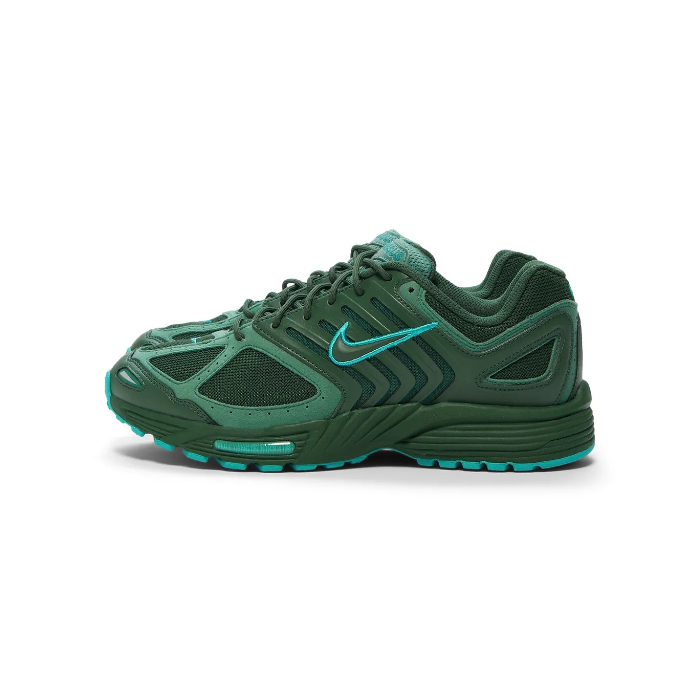 Nike Air Pegasus 2005