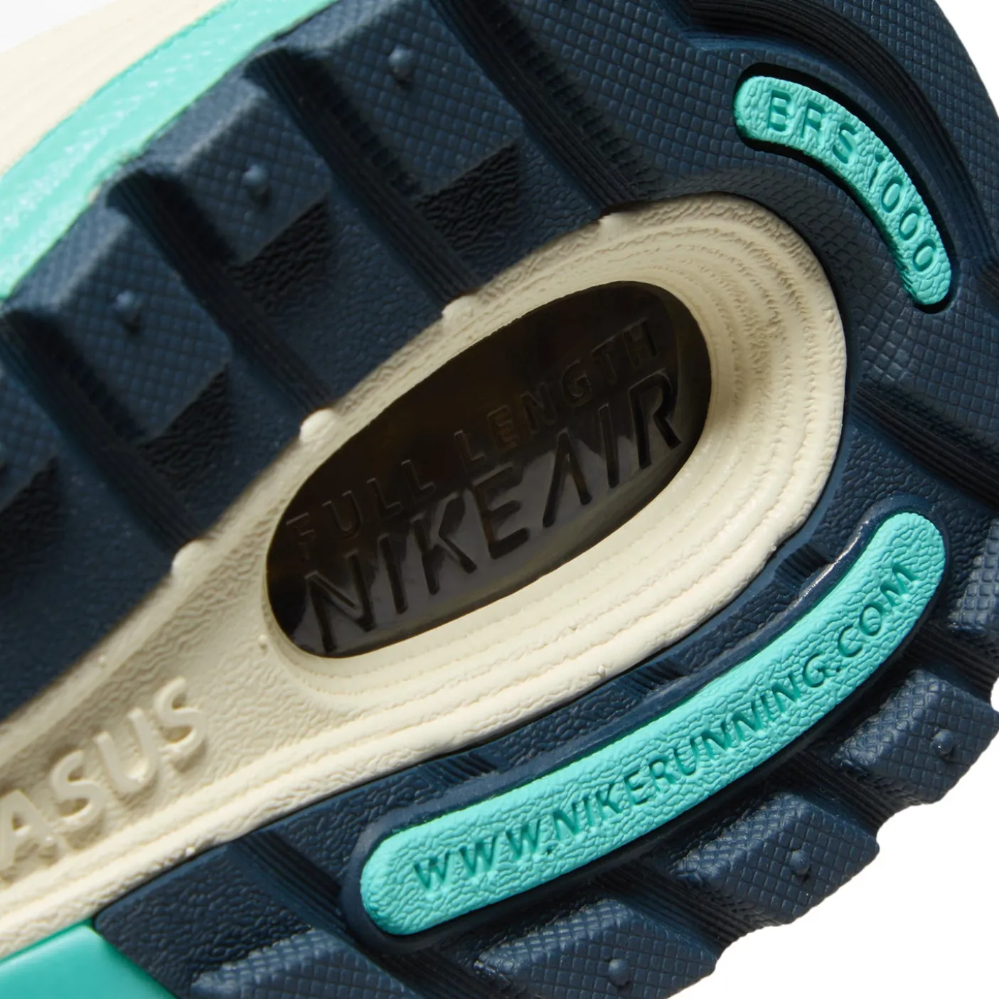 Nike Air Pegasus 2005