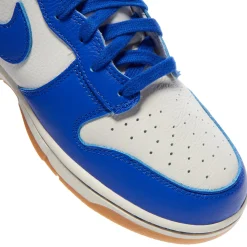 Nike Dunk Hi Retro SE