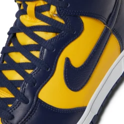Nike Dunk High Retro SE
