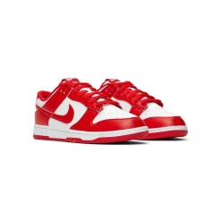 Nike Dunk Low Retro