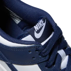 Nike Kids Dunk Low
