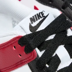 Nike Kids Dunk Low GS