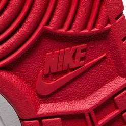 Nike Kids Dunk Low GS