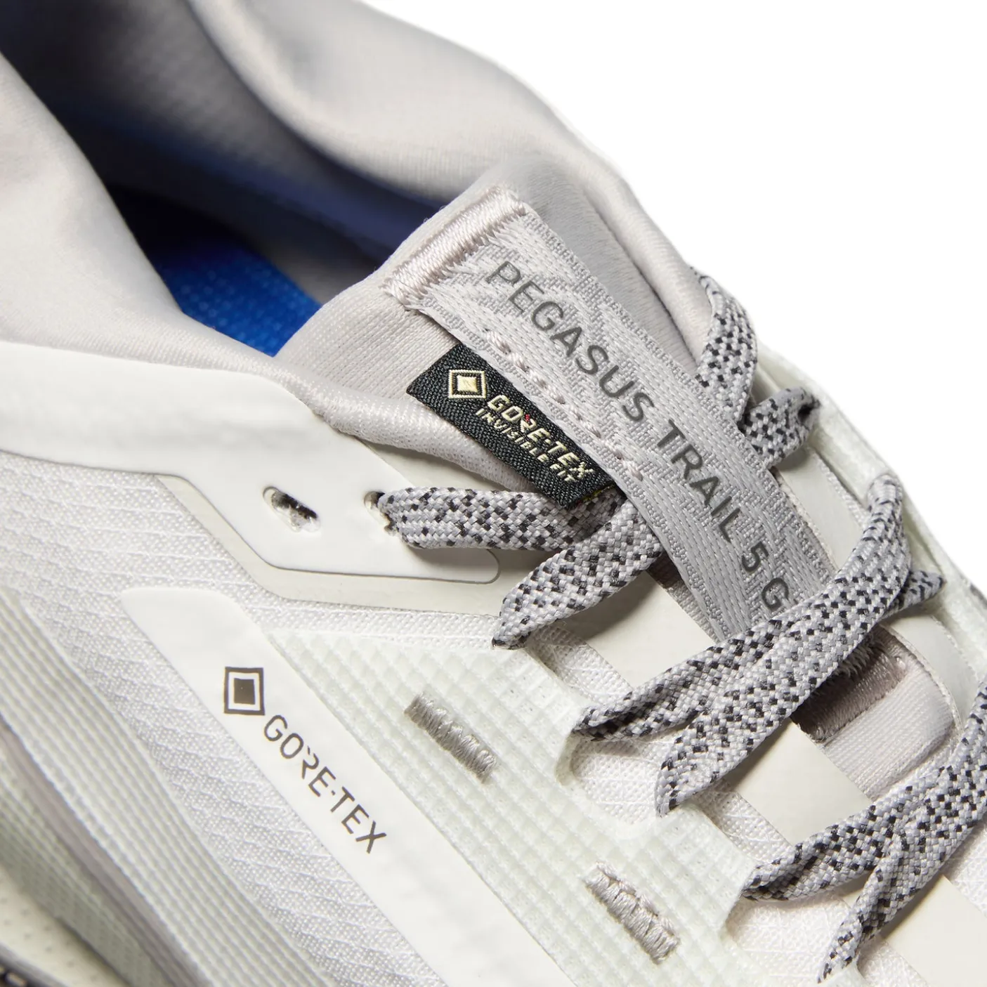 Nike Pegasus Trail 5 GORE-TEX SP