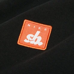 Nike SB Embroidered Patch T-Shirt