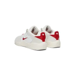 Nike SB Vertebrae