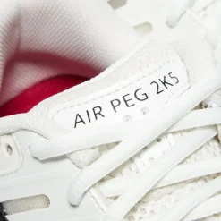 Nike Womens Air Pegasus 2005