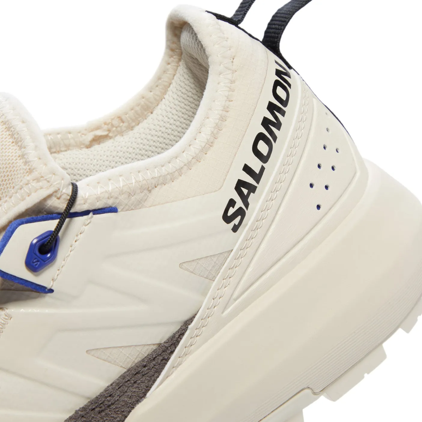 Salomon Alpinway Advanced