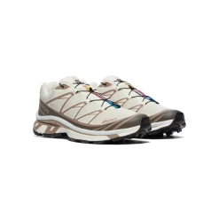 Salomon XT-6