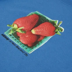 Stussy Berries Tee